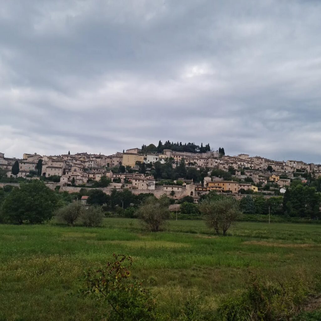 377651683_352568877197778_2263463488818503613_n